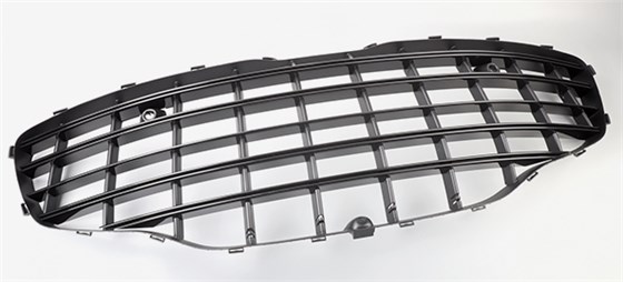 Radiator grille